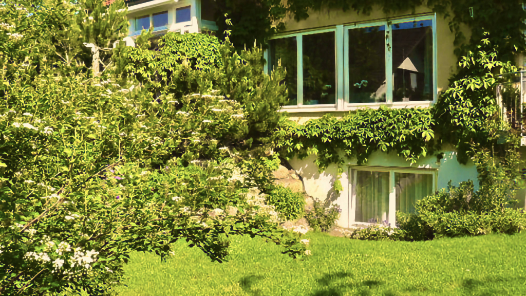 1-BR Window