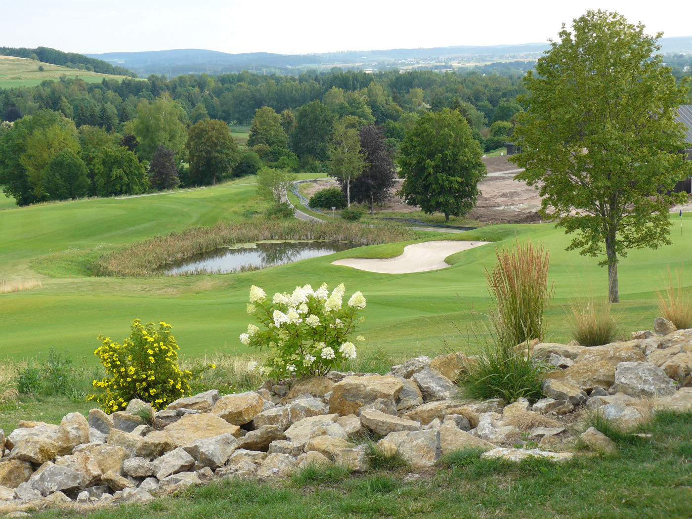 Golfing near Maple House