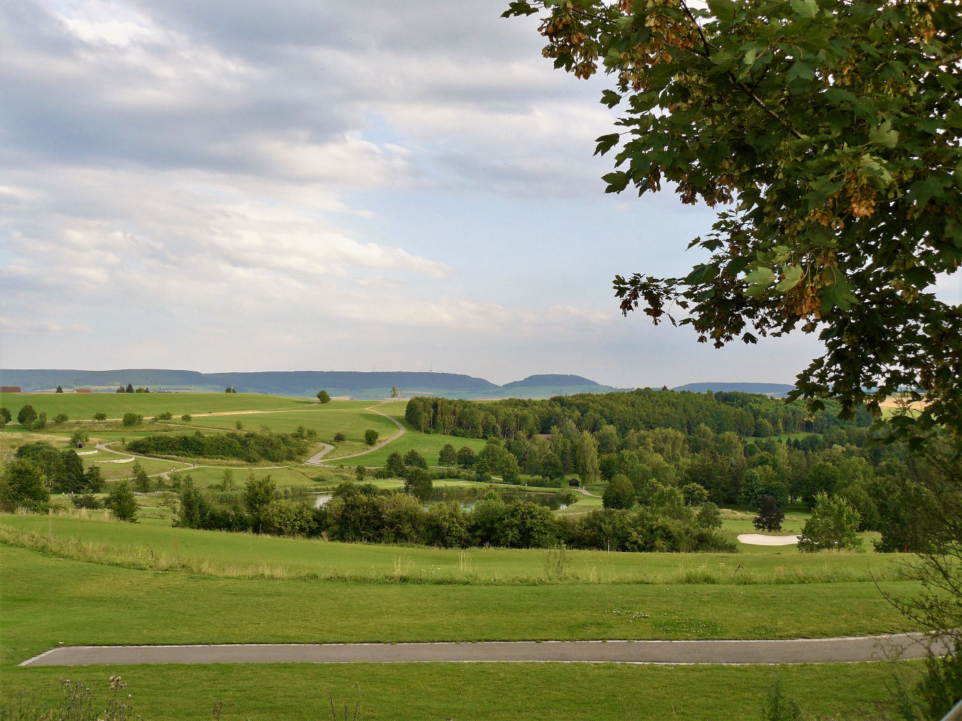 Green pasture near Maple House